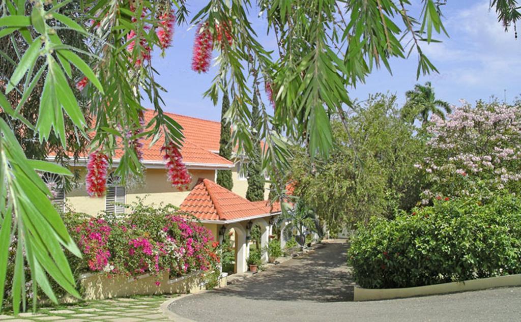 Polkerris Bed & Breakfast Montego Bay Exteriér fotografie