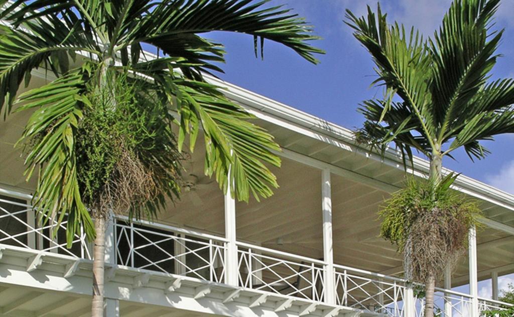 Polkerris Bed & Breakfast Montego Bay Exteriér fotografie