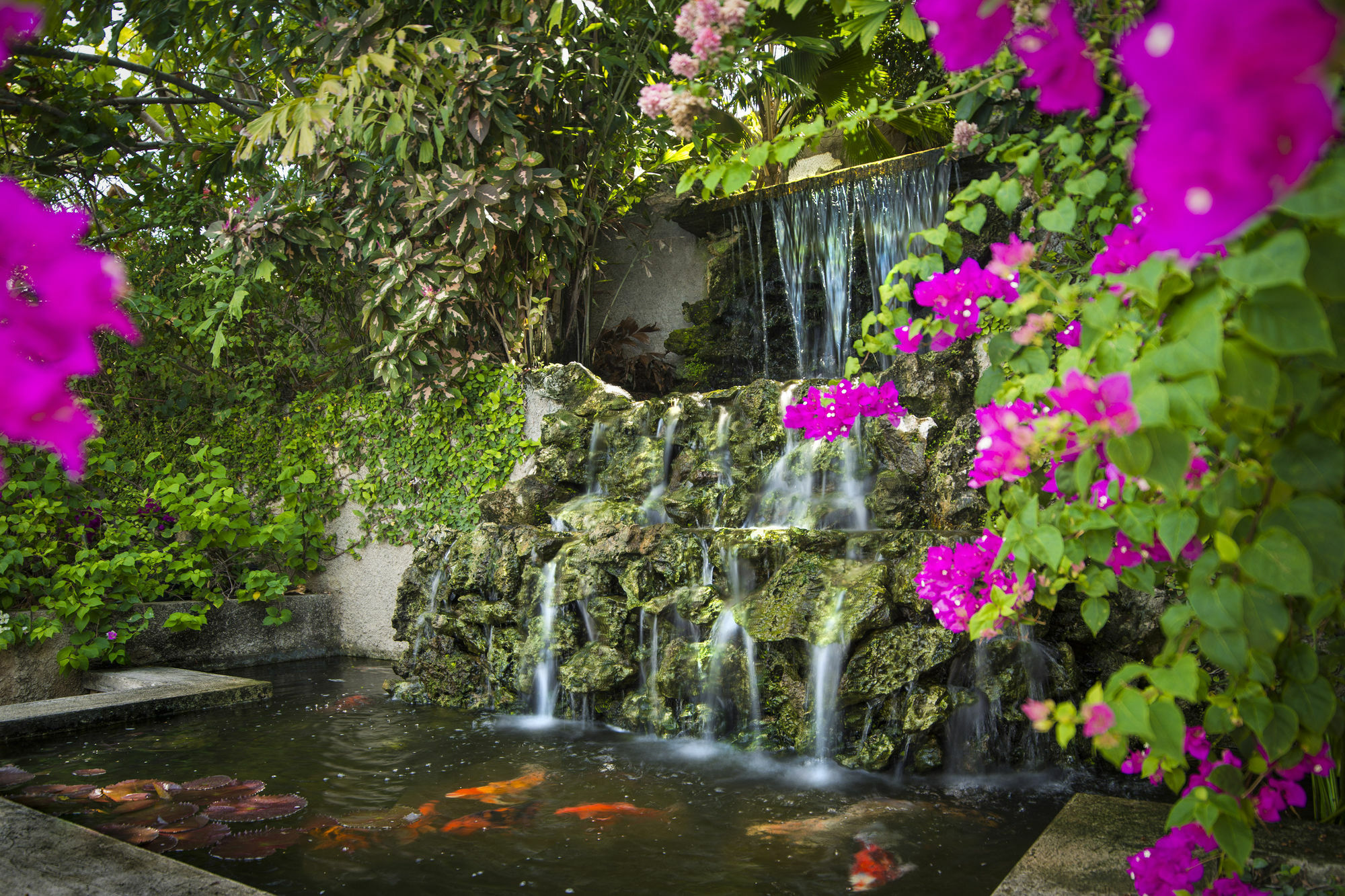 Polkerris Bed & Breakfast Montego Bay Exteriér fotografie